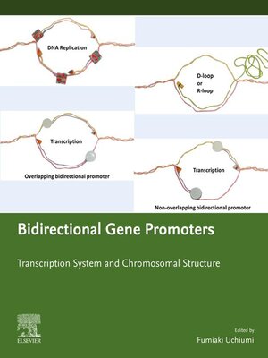 cover image of Bidirectional Gene Promoters